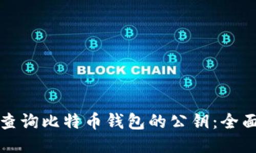 如何查询比特币钱包的公钥：全面指南