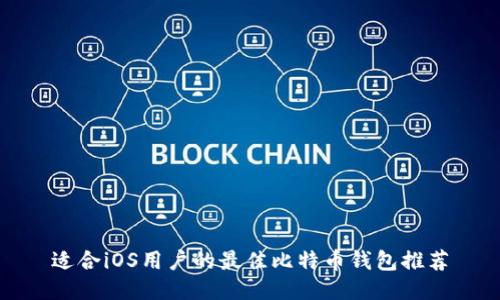 适合iOS用户的最佳比特币钱包推荐