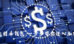 如何打开比特币钱包：一