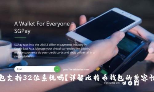 比特币钱包支持32位系统吗？详解比特币钱包的兼容性与安全性