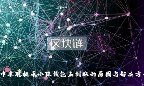  中本聪提币小狐钱包未到账的原因与解决方案