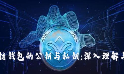区块链钱包的公钥与私钥：深入理解与应用