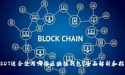 USDT适合使用哪些区块链钱包？全面解析和指南