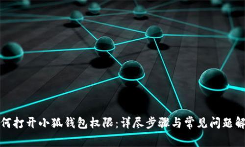 如何打开小狐钱包权限：详尽步骤与常见问题解答