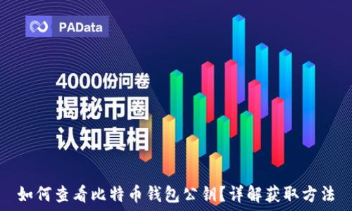  
如何查看比特币钱包公钥？详解获取方法