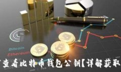  如何查看比特币钱包公钥