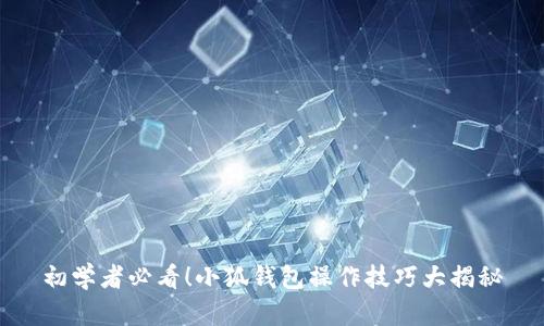 初学者必看！小狐钱包操作技巧大揭秘