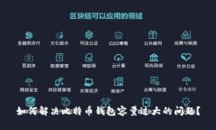 如何解决比特币钱包容量