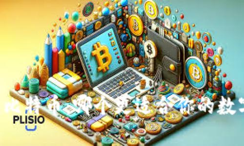 Vpay钱包与比特币：哪个更适合你的数字货币投资？