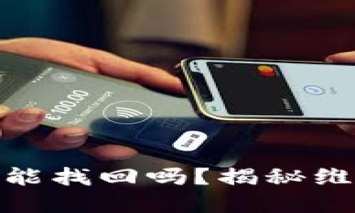 小狐钱包被骗后还能找回吗？揭秘维权渠道与防范措施
