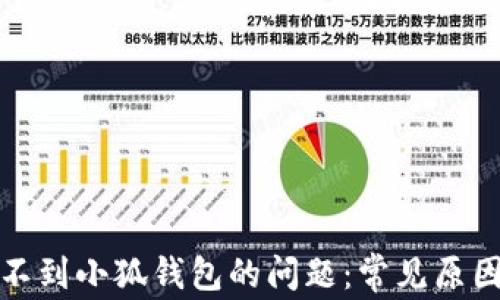 
如何解决找不到小狐钱包的问题：常见原因及解决方案