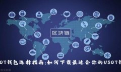 USDT钱包选择指南：如何下