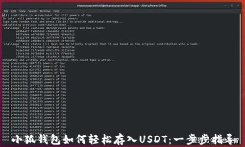 
小狐钱包如何轻松存入USDT：一步步指导