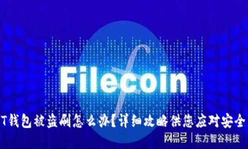 USDT钱包被盗刷怎么办？详细攻略供您应对安全危机
