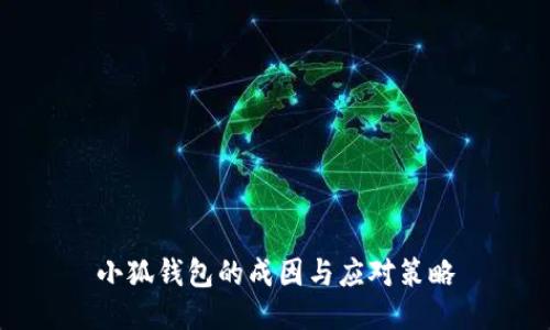 小狐钱包的成因与应对策略