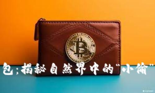 狐狸的钱包：揭秘自然界中的“小偷”生活习性