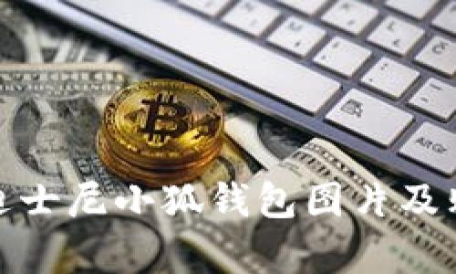 : 真实迪士尼小狐钱包图片及购买指南