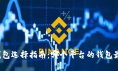 比特币钱包选择指南：哪