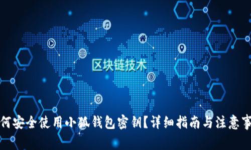 如何安全使用小狐钱包密钥？详细指南与注意事项