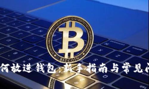 USDT如何放进钱包：新手指南与常见问题解析