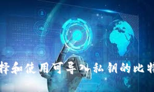 如何选择和使用可导入私钥的比特币钱包