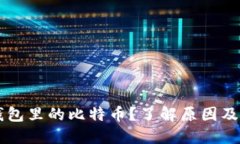 不显示钱包里的比特币？