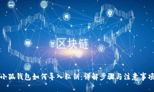 小狐钱包如何导入私钥：详解步骤与注意事项