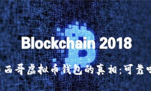 墨西哥虚拟币钱包的真相：可靠吗？