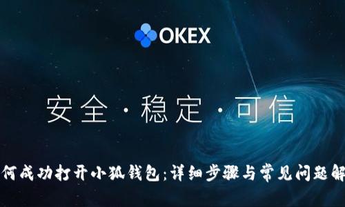 如何成功打开小狐钱包：详细步骤与常见问题解答