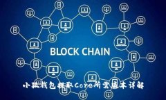 小狐钱包提取Core所需版本