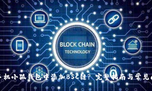 如何在手机小狐钱包中添加BSC链? 完整指南与常见问题解答