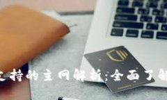 MetaMask钱包支持的主网解析
