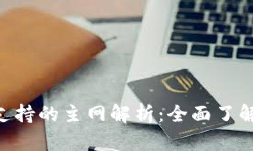 MetaMask钱包支持的主网解析：全面了解各种链与其优势