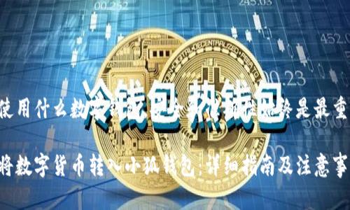无论使用什么数字钱包，安全和准确性始终是最重要的。

如何将数字货币转入小狐钱包：详细指南及注意事项