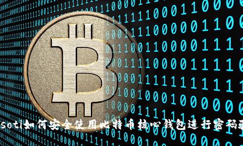 biasoti如何安全使用比特币核心钱包进行密码验证