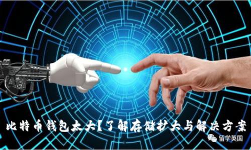 比特币钱包太大？了解存储扩大与解决方案