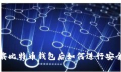 : 下载比特币钱包后如何进