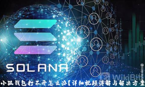 
小狐钱包打不开怎么办？详细视频讲解与解决方案
