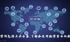 狐狸数字钱包图片大全集