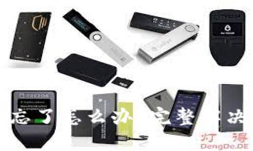 比特币钱包密码忘了怎么办？完整解决方案与实用技巧