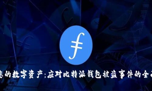 保护您的数字资产：应对比特派钱包被盗事件的全面指南