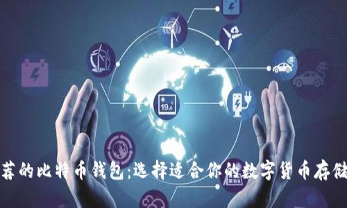 最推荐的比特币钱包：选择适合你的数字货币存储方案