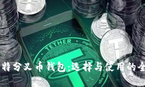 了解比特分叉币钱包：选择与使用的全面指南