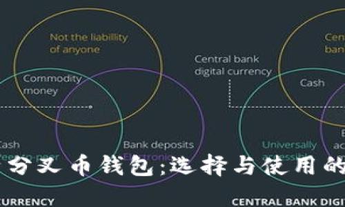了解比特分叉币钱包：选择与使用的全面指南