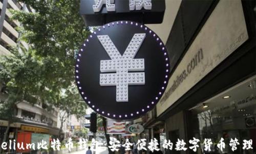 
Mycelium比特币钱包：安全便捷的数字货币管理工具