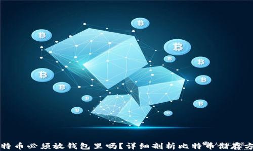 
比特币必须放钱包里吗？详细剖析比特币储存方式