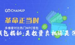 虚拟币钱包揭秘：是投资