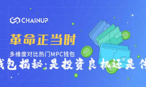 虚拟币钱包揭秘：是投资良机还是传销陷阱？
