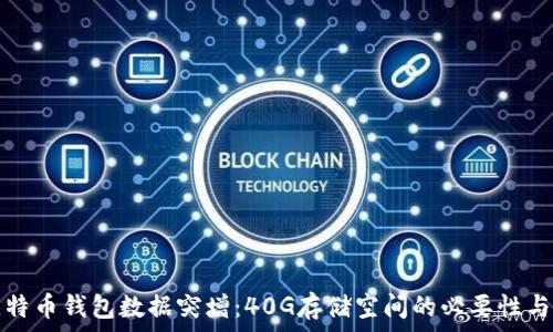   
baaoti比特币钱包数据突增：40G存储空间的必要性与管理策略