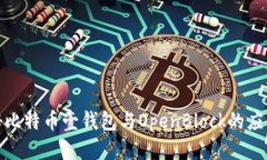 深入揭秘比特币壹钱包与
